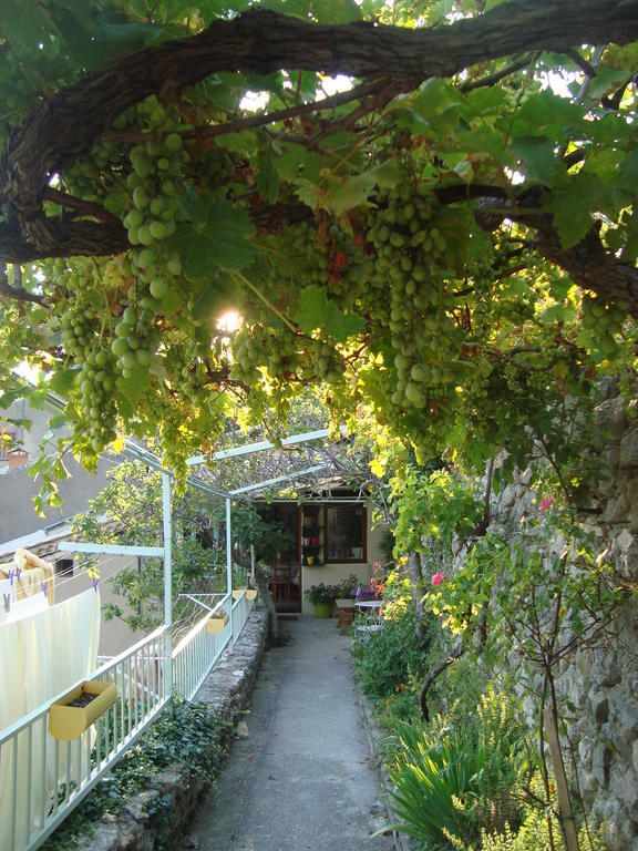 Gîte Chambres d'hôtes Le Bellevue Montbrun-les-Bains Extérieur photo